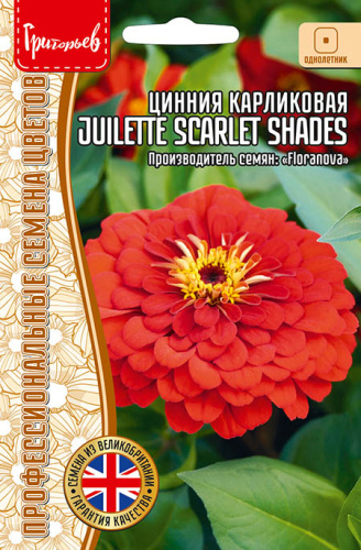 Цинния Juilette Scarlet Shades карл.