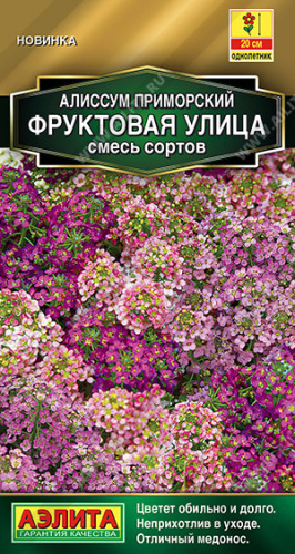 Алиссум Фруктовая улица, смесь сортов Золотая серия