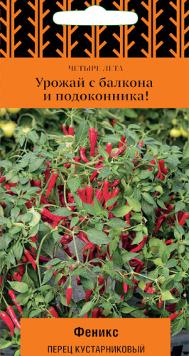 Перец (кустарниковый) Феникс