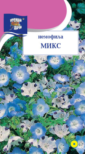 Немофила Микс 