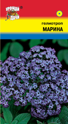 Гелиотроп Марина