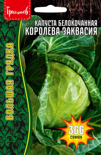 Капуста  Королева Заквасия