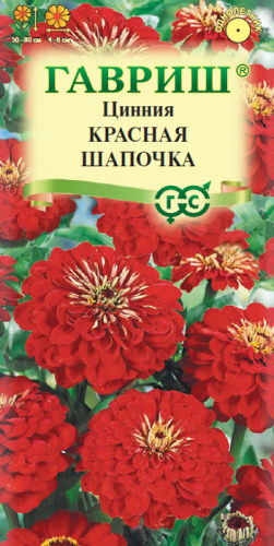 Цинния Красная Шапочка  лилипут