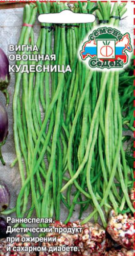 Вигна Кудесница 