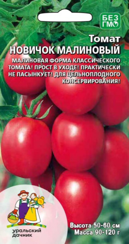 Томат Новичок малиновый