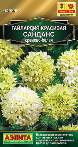 Гайлардия Санданс кремово-белая