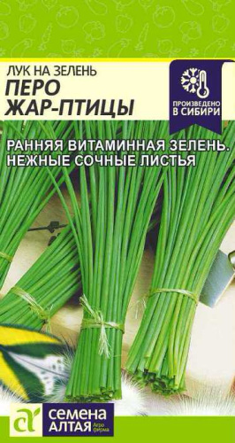 Лук (на зелень) Перо Жар Птицы 