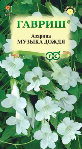 Азарина Музыка дождя 