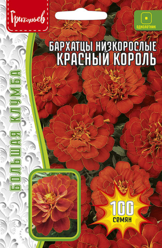 Бархатцы Красный Король