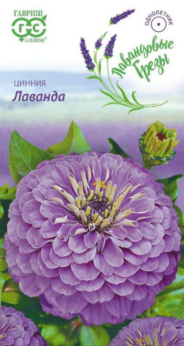 Цинния Лаванда 0.5г серия Лавандовые грёзы
