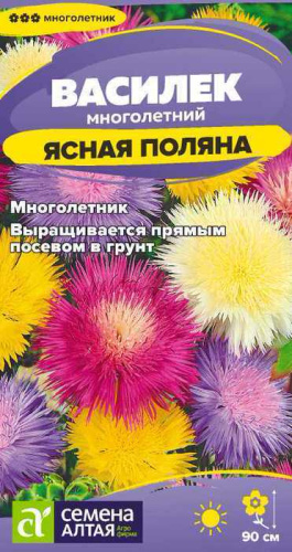 Василек Ясная поляна многолетний