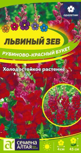 Львиный зев Рубиново-красный букет