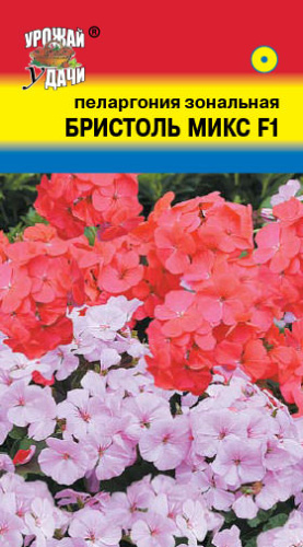 Пеларгония зональная Бристоль F1 Микс