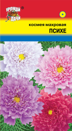 Космея Психе махр.