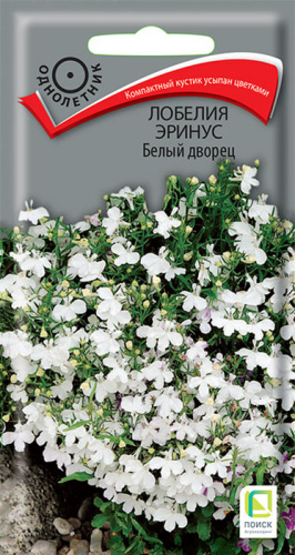 Лобелия Белый дворец эринус