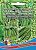 Горох Сахарный Деликатес - смесь сладких сортов 10г купить