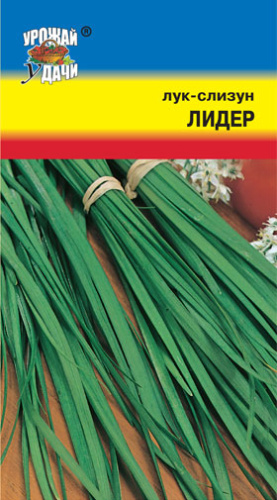 Лук (слизун) Лидер 