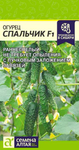 Огурец Спальчик F1