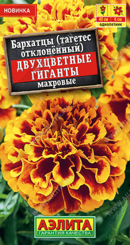 Бархатцы Двухцветные гиганты отклоненные махровые  