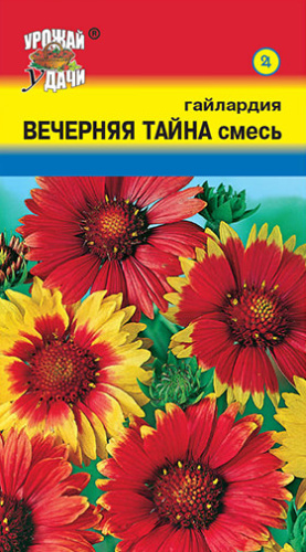 Гайлардия Вечерняя тайна Смесь окрасок