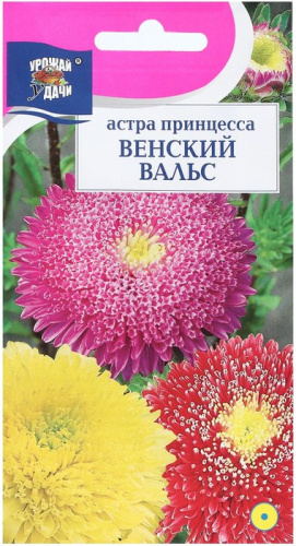 Астра принцесса Венский Вальс, смесь