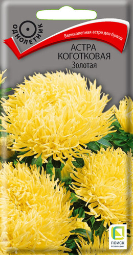 Астра Золотая коготковая