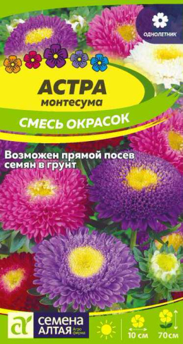 Астра Монтесума Смесь