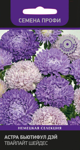 Астра Бьютифул Дэй  Твайлайт Шейдес