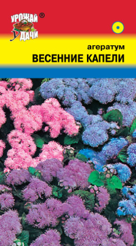 Агератум Весенние капели Смесь