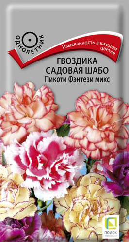 Гвоздика Шабо Пикоти Фэнтези микс 
