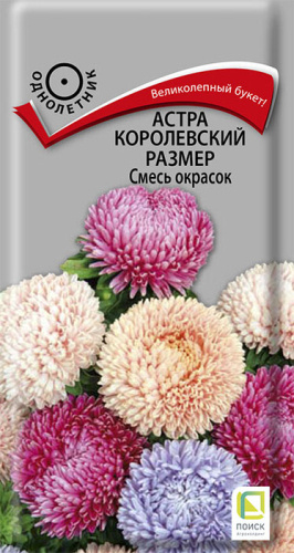 Астра королевский размер, смесь 