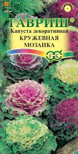 Капуста декоративная Кружевная Мозаика 