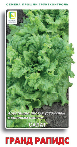 Салат Гранд Рапидс