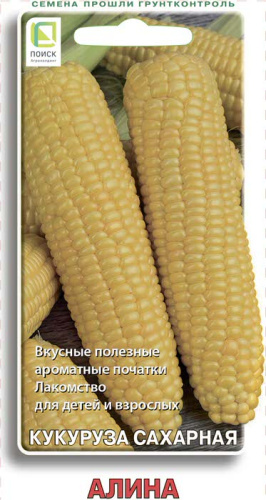 Кукуруза Алина сахарная