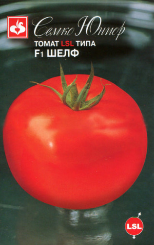 Томат Шелф F1