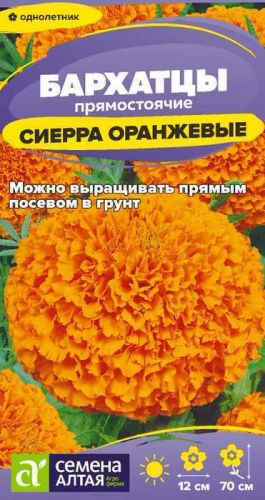 Бархатцы Сиерра Оранжевые