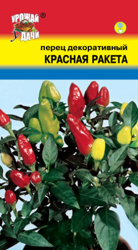Перец (декоративный) Красная Ракета 