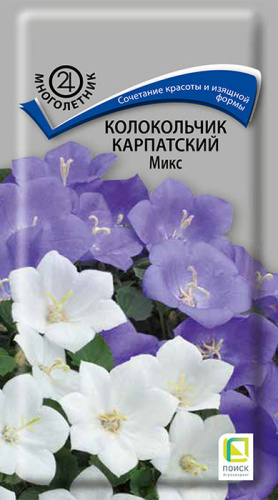 Колокольчик карпатский Микс 