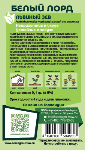 Львиный зев Белый лорд