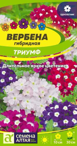Вербена Триумф гибридная 0,1гр