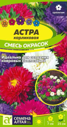 Астра Карликовая смесь 