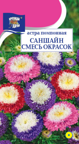 Астра Саншайн, смесь помпонная 
