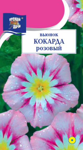 Вьюнок кокарда Розовый