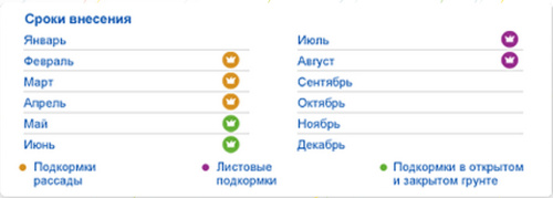 цвет