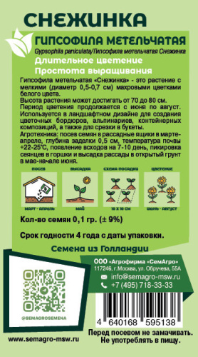 Гипсофила метельчатая Снежинка о