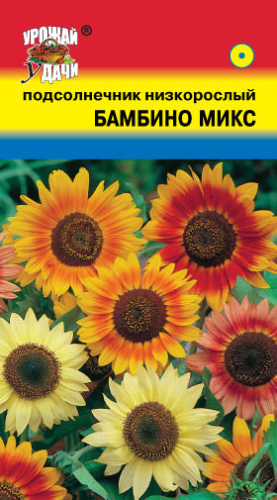 Подсолнечник Бамбино Микс низк