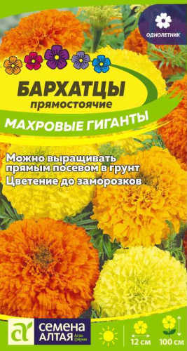 Бархатцы Махровые Гиганты