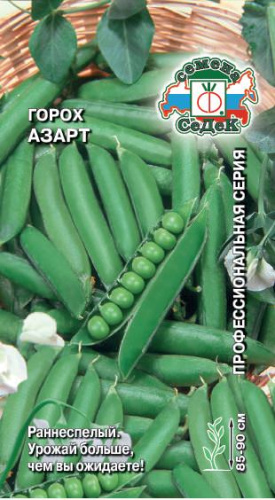 Горох Азарт 