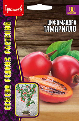 Цифомандра Тамарилло (Томатное дерево)