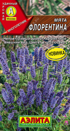 Мята Флорентина